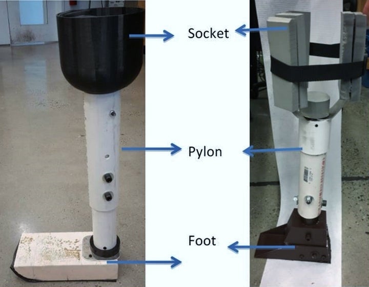 <p>FIGURE 1</p>