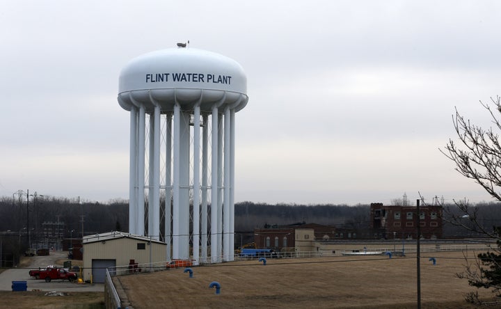 Rhonda Grayer and her company, WT Stevens Construction, are helping rid Flint of its corroded pipes.