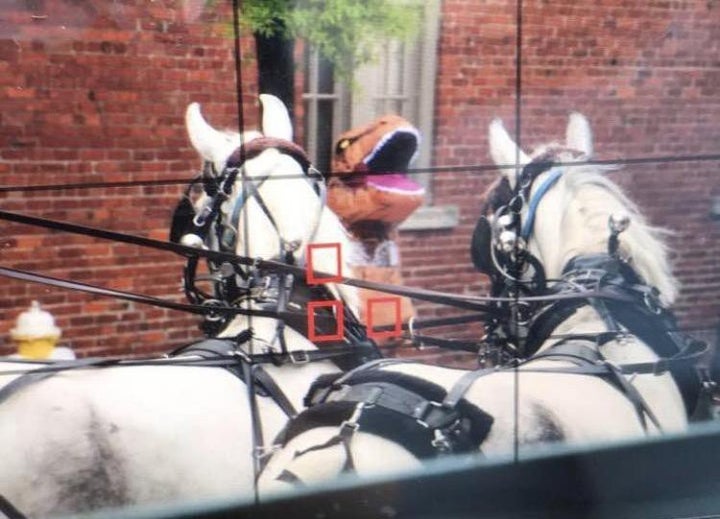 A woman dressed as a Tyrannosaurus rex is facing charges after she allegedly startled a pair of carriage horses in downtown C