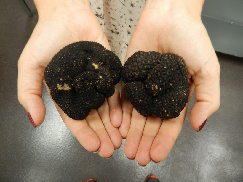 Black truffles the size of your palm costs several hundreds of dollars each courtesy of the Truffle Brothers.