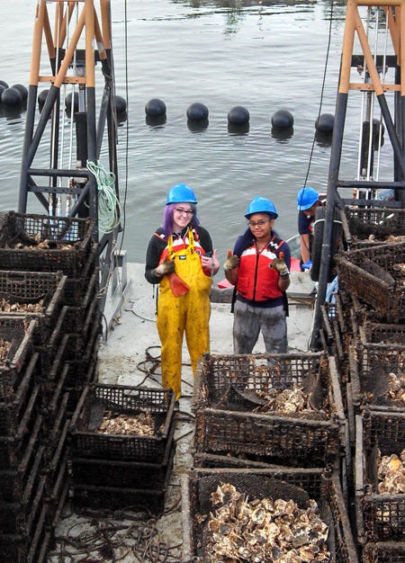 Billion oyster project and NY Harbor School students / Energy Factor