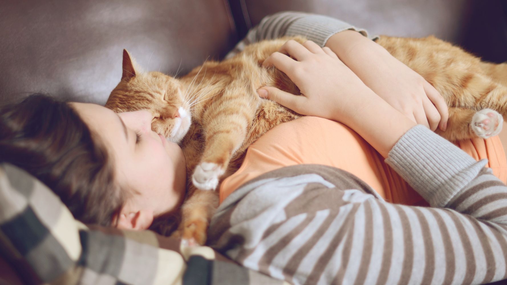 this-vet-clinic-is-seeking-a-professional-cat-cuddler-huffpost-null