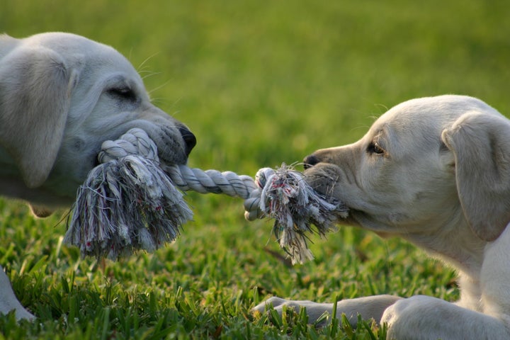 The Screen Time Tug of War