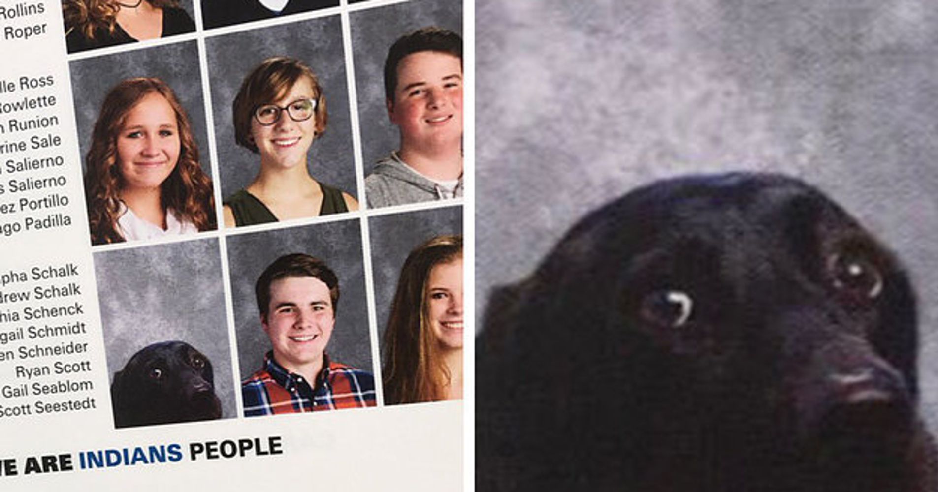 Teen’s Service Dog Gets Photo In Yearbook Because He’s A