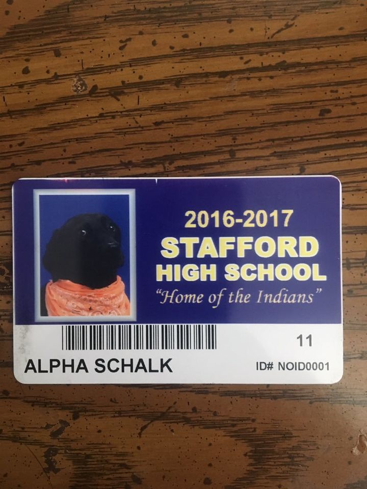 Alpha's ID.