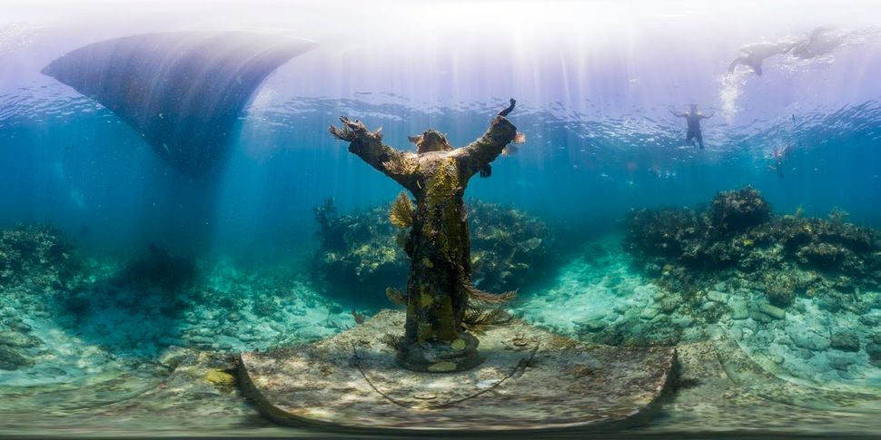 The "Christ of the Abyss" statue is located in the Key Largo Dry Docks Sanctuary Preservation Area of Florida Keys National Marine Sanctuary. In addition to attracting numerous invertebrates that have attached to its surface, giving it a colorful living texture, this nine-foot bronze statue is a popular destination for snorkelers and divers.