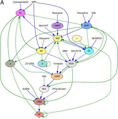 A computational method reverse-engineered a signaling network able to recapitulate the level of conversion stochasticity of a series of pharmacological experiments.