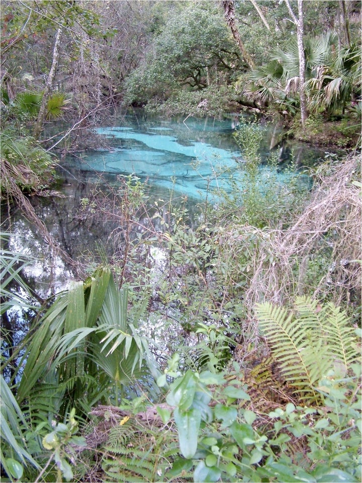 A natural sinkhole in central Florida.