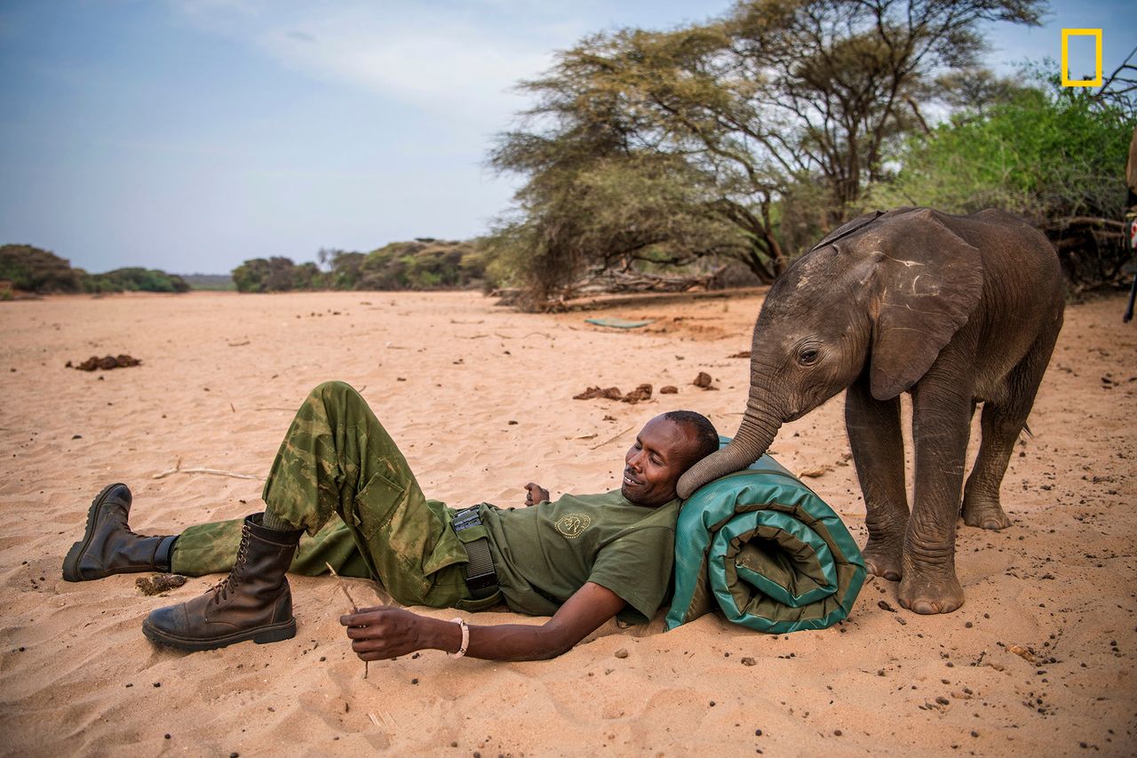 Locals have been working to save endangered baby elephants in northern Kenya.
