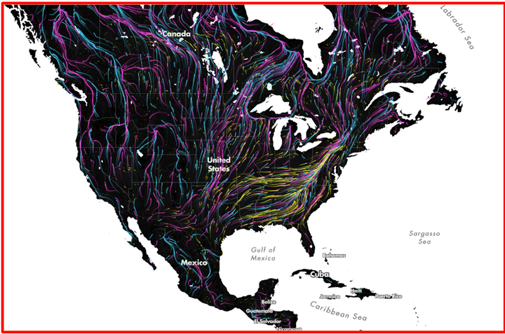 Animation 8: Global warming will affect vegetation and wildlife as well as humans. This map shows the likely migratory routes of mammals, birds and amphibians as they try to follow the conditions that are hospital to their species. Recent studies at Purdue University have found that tree species in the U.S. are already moving north and west to follow water availability.