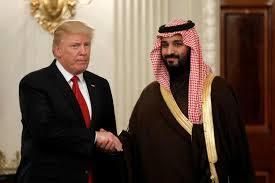 US President Donald Trump and Saudi Defense Minister Prince Mohammed bin Salman meet at the White House