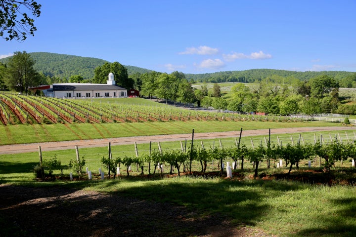 Barboursville Vineyards