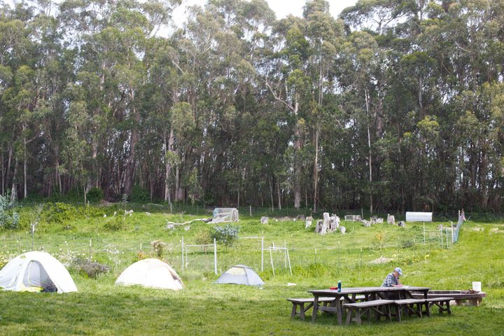 Student camping grounds, Pie Ranch