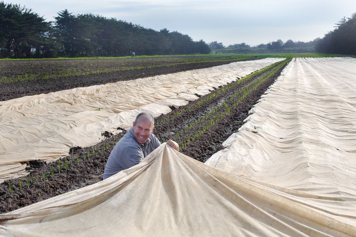 Reams of cover cloth protect vulnerable seedlings from frost and pests.... and keeps the warmth of the soil overnight 