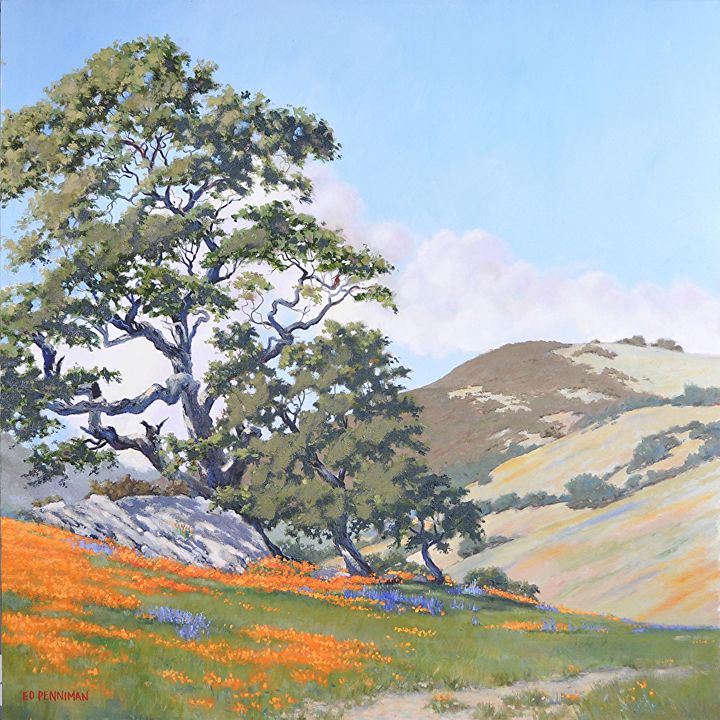 Poppies and Oaks, Oil on canvas, 30 x 30 inches