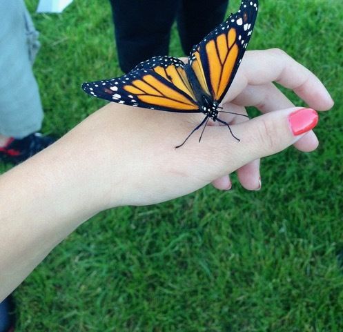 My niece at a Hospice Butterfly Release (2013)