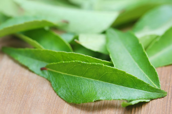 A bunch of fresh curry leaves from the curry leaf tree.