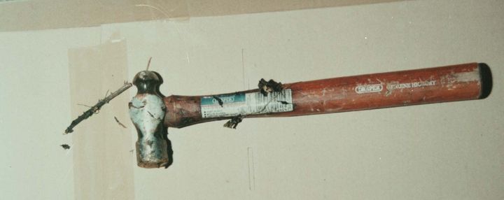 A Kent Police picture of a hammer found in a hedgerow bordering a field near the scene of the attack 