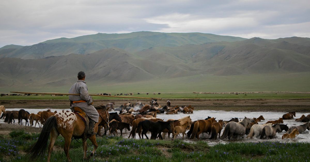 Turning Big Ideas into Meaningful Change. 5 Questions for Mongolia’s ...