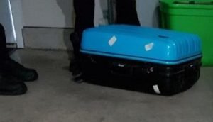 The suitcase in which the poodle was found.