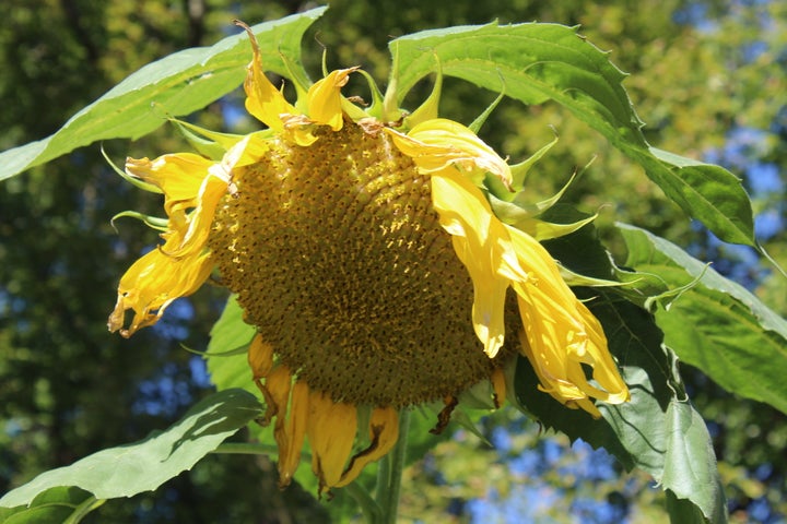 <p>My own mortality is teaching me to live as a mom in the moment while I still can.</p>