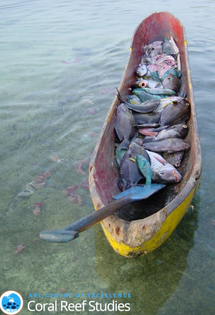A new paper calls on the world to rapidly address climate change and other threats to coral reefs, like overfishing, whi