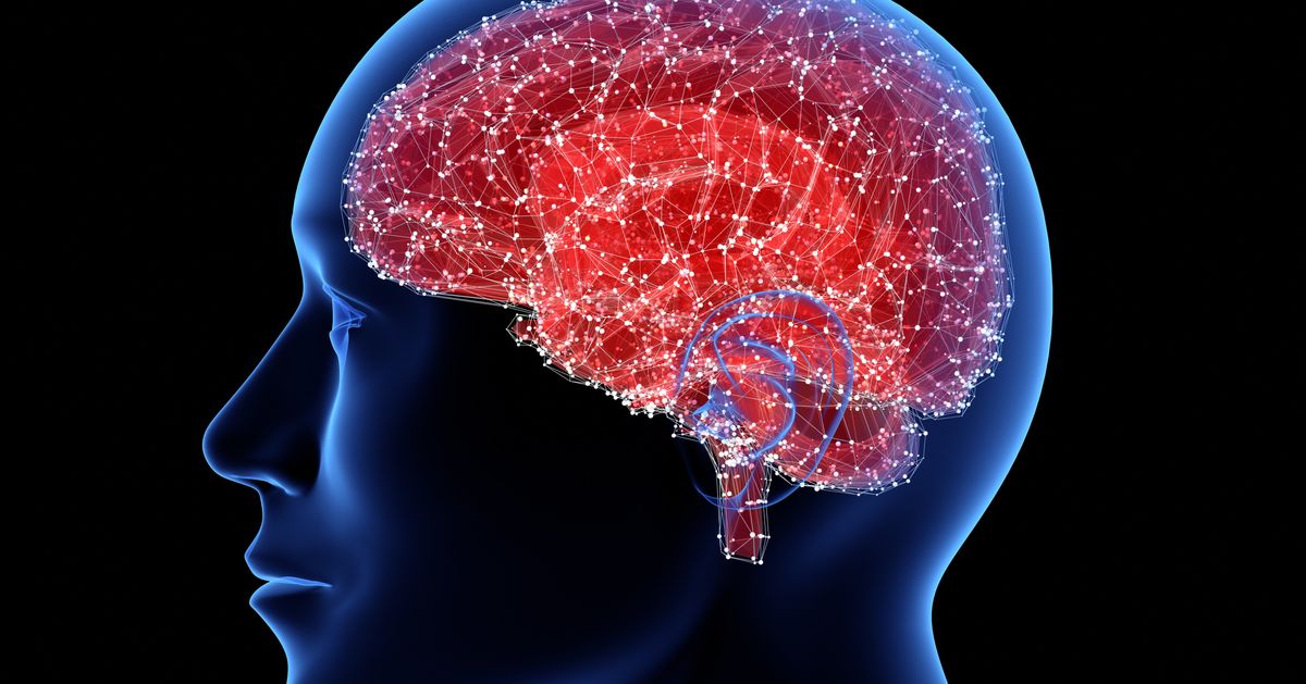 Brain die. Нейроны в голове. Мозг человека Нейроны. Нейронные связи мозга человека.
