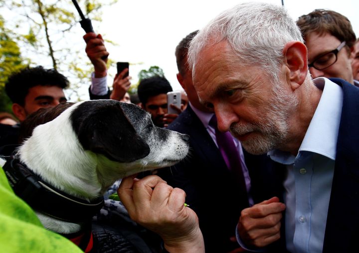 Jeremy Corbyn, the leader of Britain's opposition Labour Party, poses with a dog named Scrappy-doo as he campaigns in Southall, London.