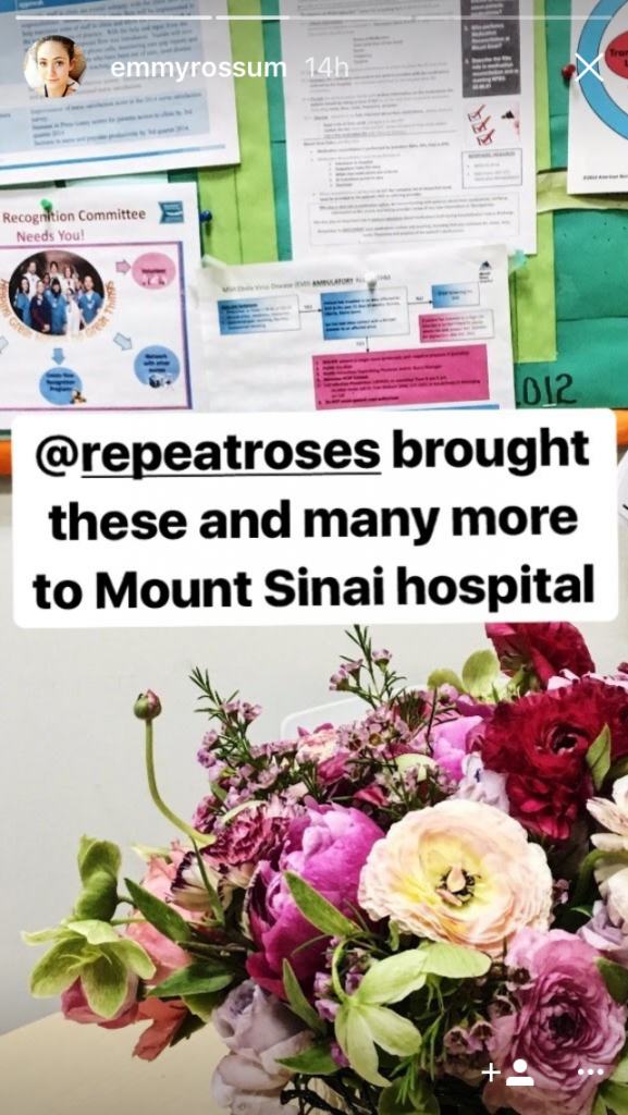 Rossum posted about the great work Repeat Roses does on her Instagram Story. 