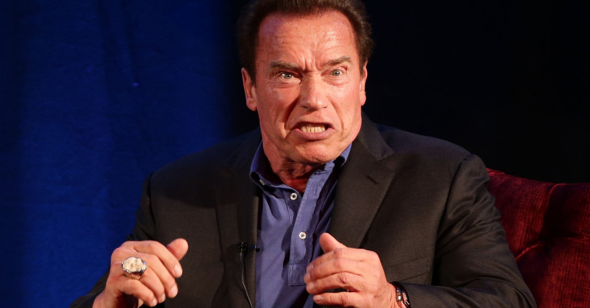 Arnold Schwarzenegger Tears Into Donald Trump Over Paris Climate Deal