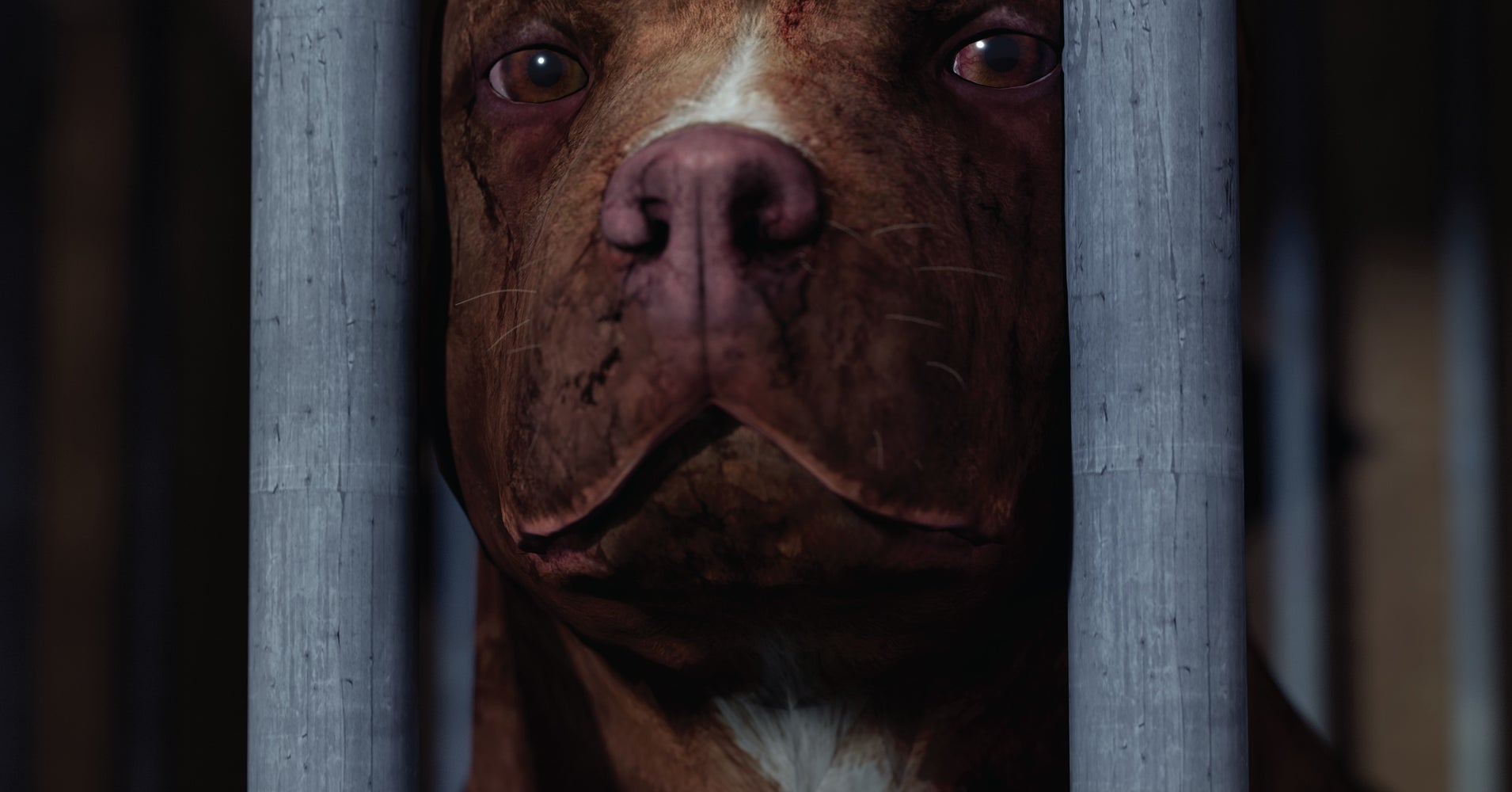 This Animated Film Wants To Stop Underground Dog Fighting Rings HuffPost