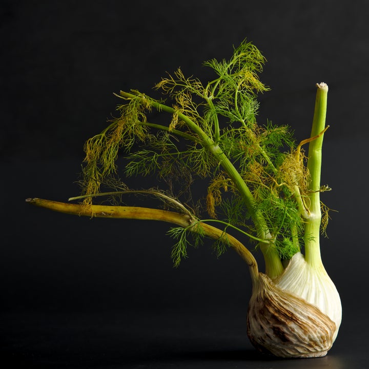 Oprah Doesn T Know How To Tell Fennel From Dill And It S A Common Mistake Huffpost Life