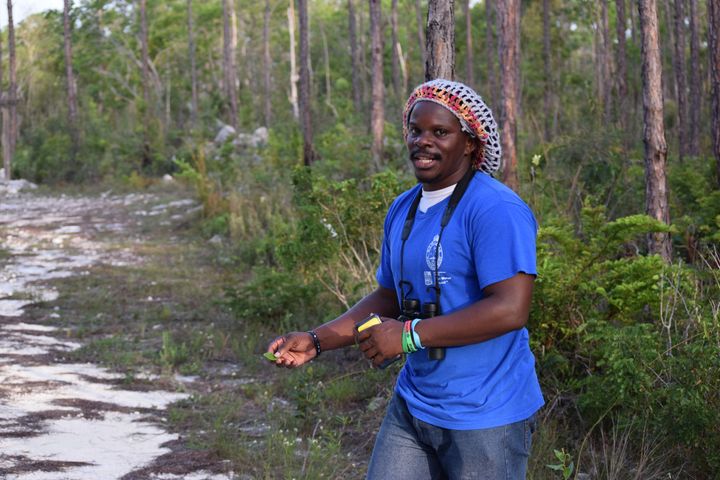<p>Scott Johnson on the trail of a Bahama Oriole</p>