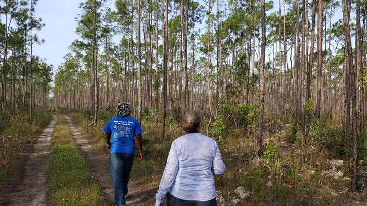 <p>Hiking through Blue Holes National Park</p>