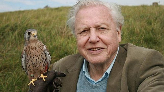 Sir David has shared his only regret about making so many documentaries in his long career