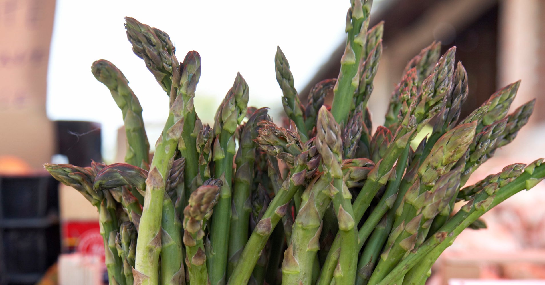 How To Store Your Asparagus To Make It Stay Fresh Longer HuffPost