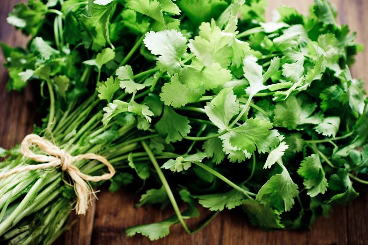A bunch of coriander (also known as cilantro, depending on your location).