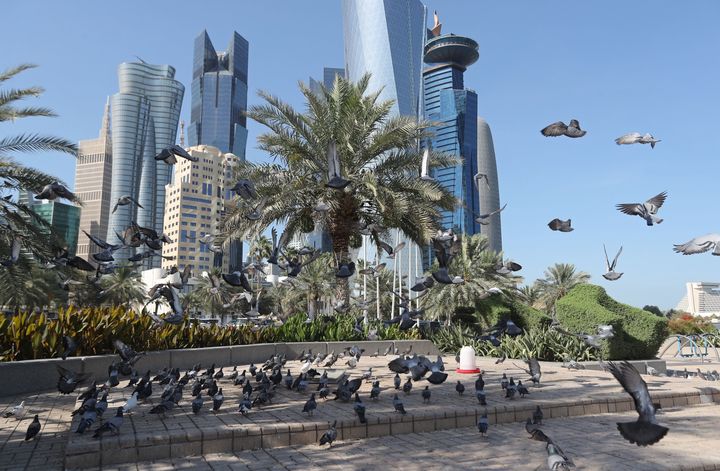 Pigeons in Doha.