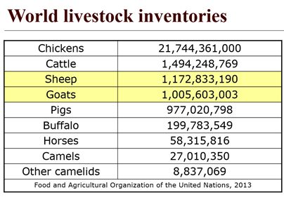 Data Doesn't Support The Claim That Goat Is The Most Consumed Meat In The  World | HuffPost Life
