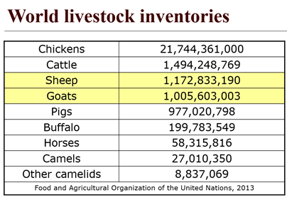 Most Consumed Meats