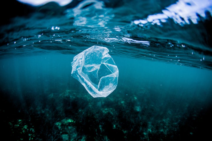 It can take between 10 and 20 years for a plastic bag to decompose. Activist Margaret Atwood is calling for biodegradable and organic replacements for plastic products.