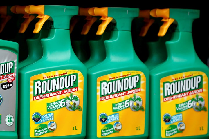 Monsanto's Roundup weedkiller atomizers are displayed for sale at a garden shop near Paris.