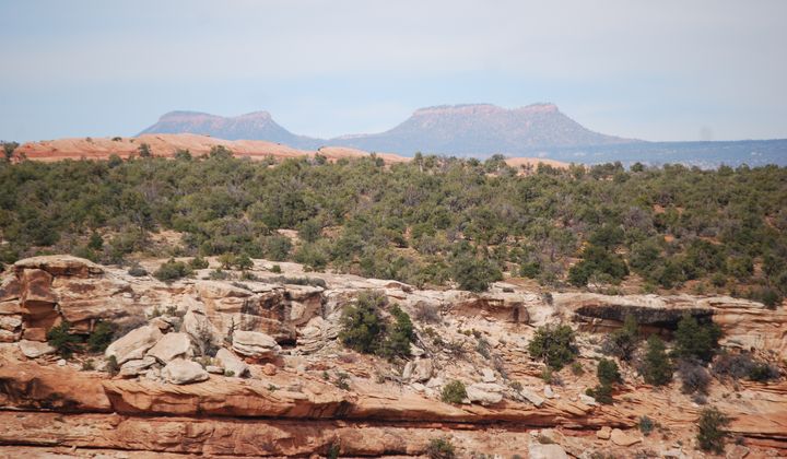 The Moon House dwelling is perched in a canyon on Cedar Mesa, in Bears Ears National Monument, at an elevation of 5,700 feet (1,740 meters) in a relatively arid region of southeastern Utah.