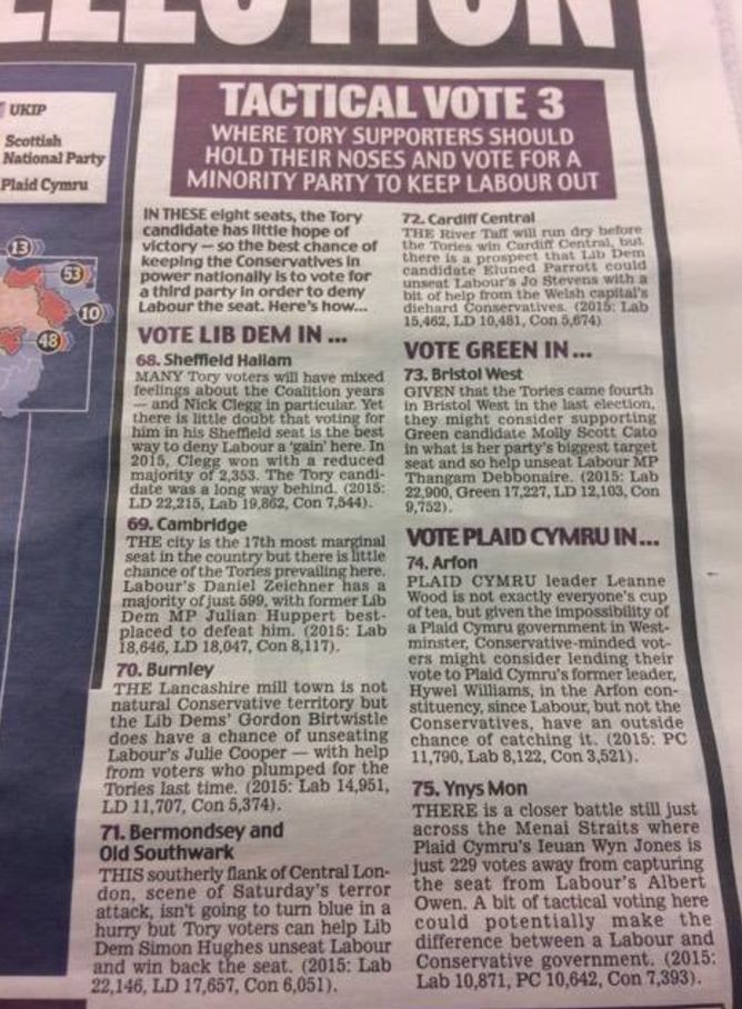 The Daily Mail called on voters in eight seats to vote for minority parties over the Tories 