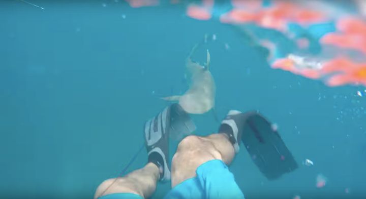 A spear fisherman filmed a shark attacking him off the Florida Keys over the weekend.