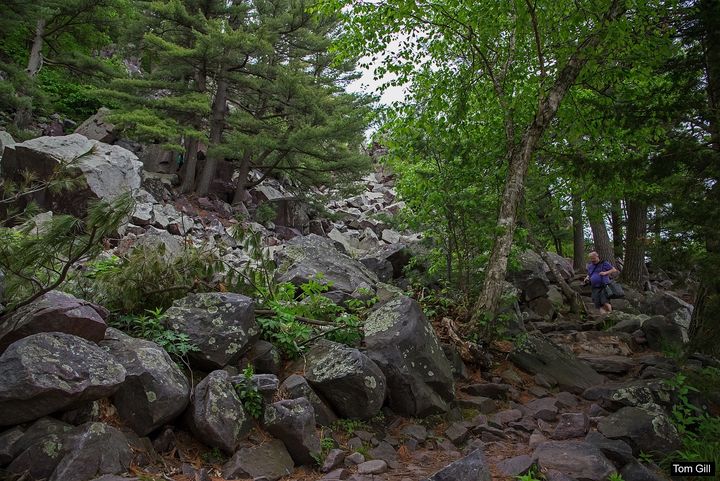The rocky paths of the East and West Bluff Trails.