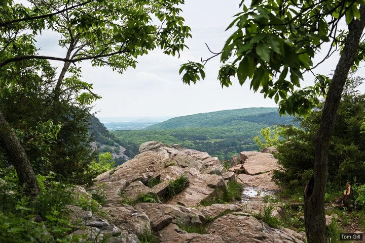 The view from the first overlook of the West Bluff Trail.