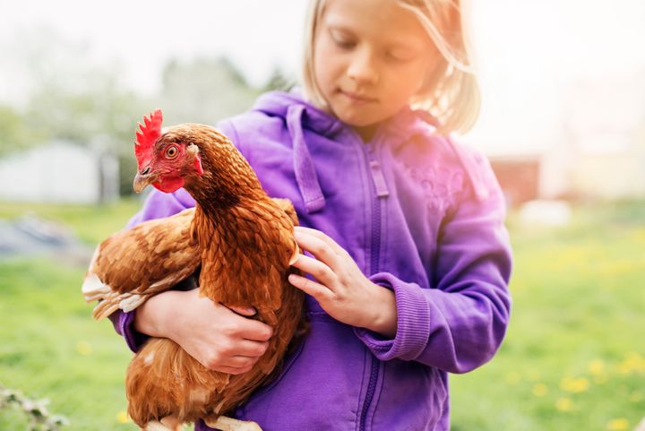 A girl holding a chicken a little too close.