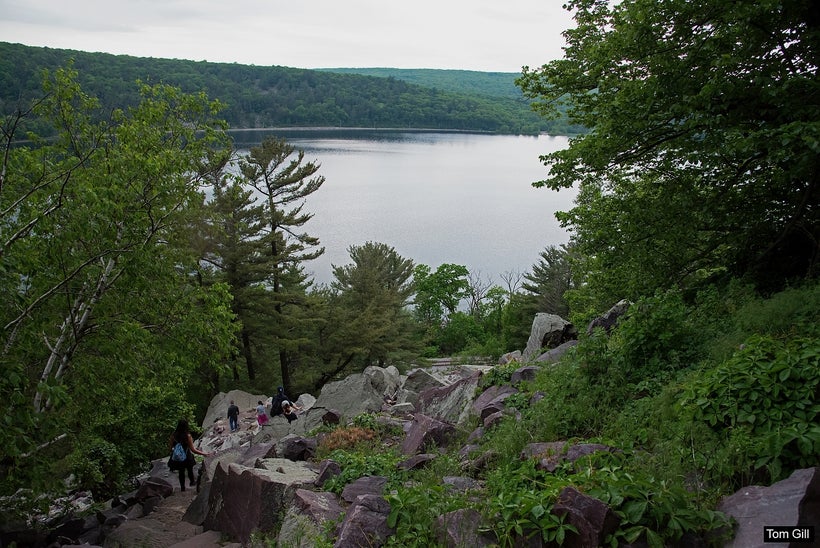 The winding path through the boulders.