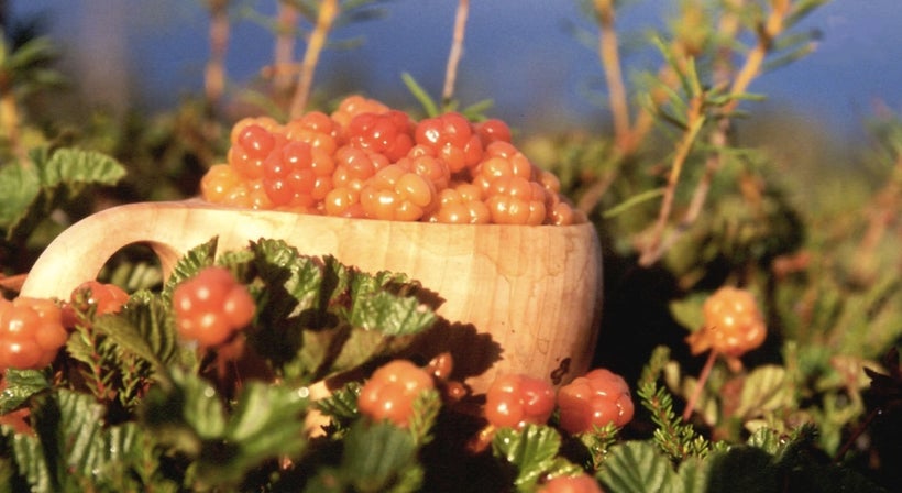 Cloudberries